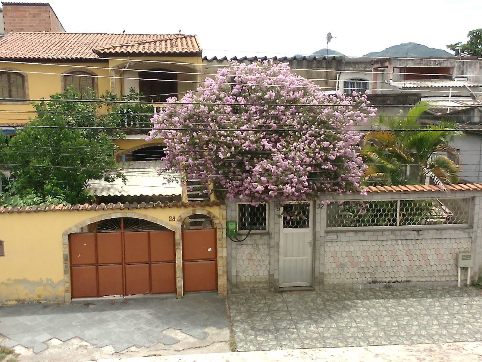 Casa, 3 quartos, 60 m² - Foto 26