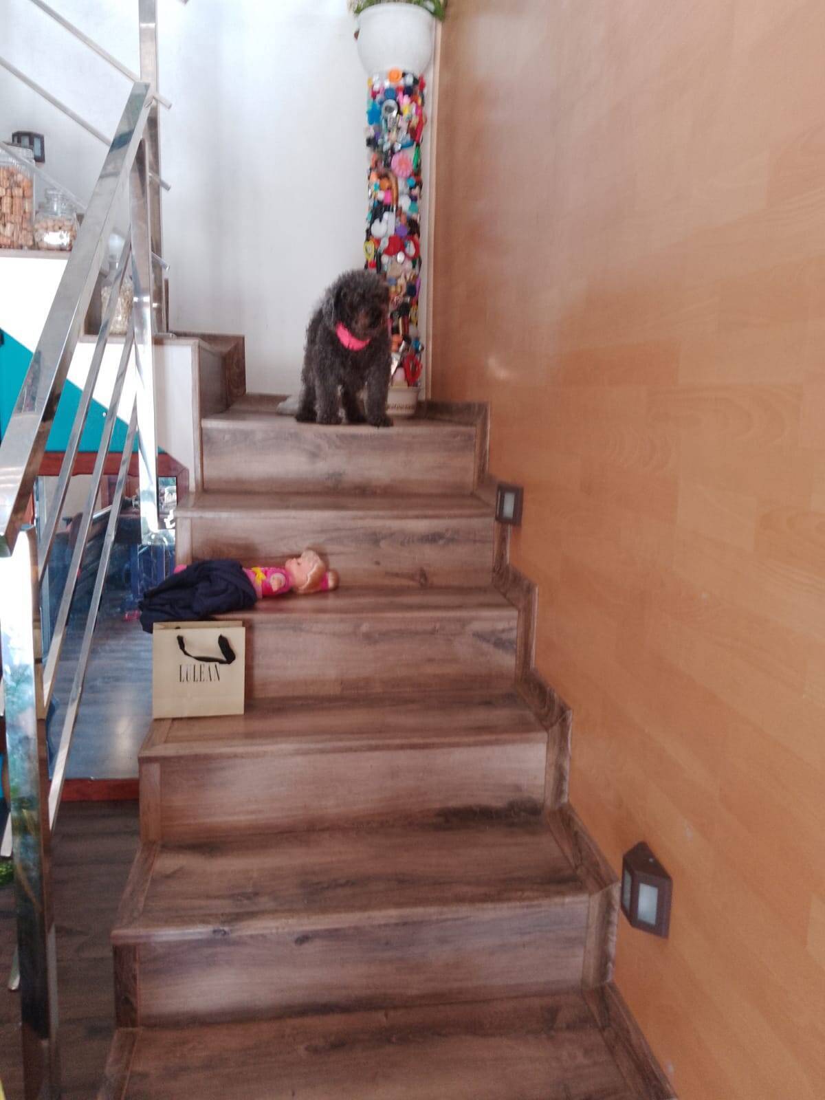 Casa, 4 quartos, 200 m² - Foto 13