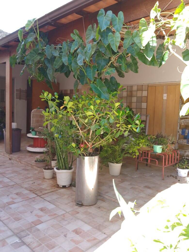 Casa, 4 quartos, 200 m² - Foto 27